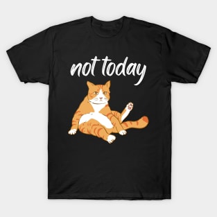 Lazy Cat Nope not Today funny sarcastic messages sayings and quotes T-Shirt